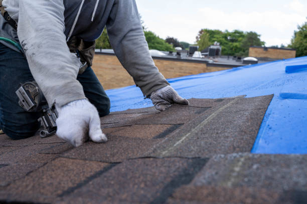 Professional Roofing Contractor in Biscoe, NC