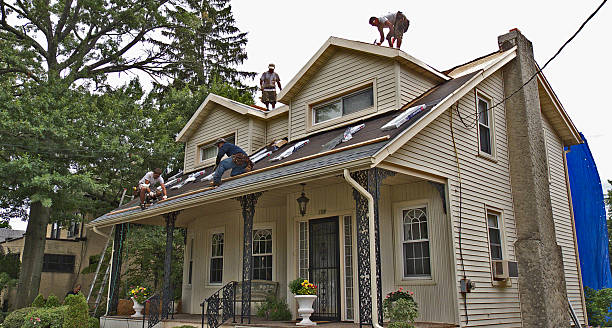 Best Shingle Roofing Installation  in Biscoe, NC