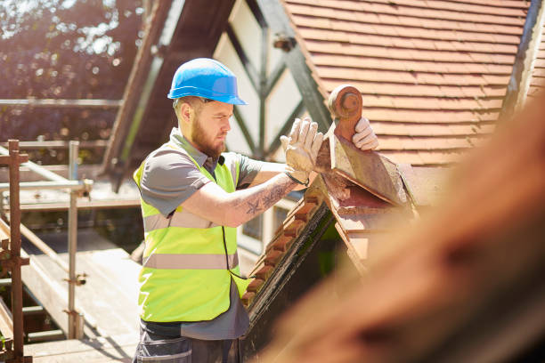 Best Roof Repair Services  in Biscoe, NC
