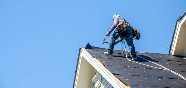 Best Storm Damage Roof Repair  in Biscoe, NC