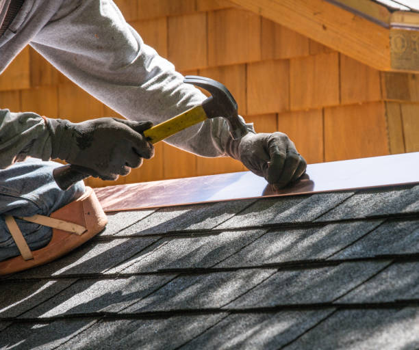 Best Gutter Installation and Roofing  in Biscoe, NC